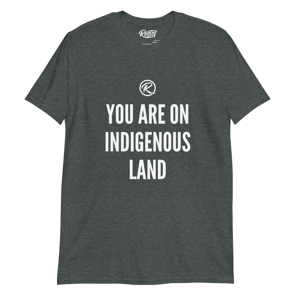 Indigenous Land T-shirt Hoodie, Sweatshirt | CoreVibeTees.com (Image 3)