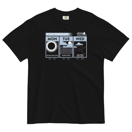 3 Day Forecast Men's Relaxed Fit Tee Hoodie, Sweatshirt | CoreVibeTees.com (Image 1)