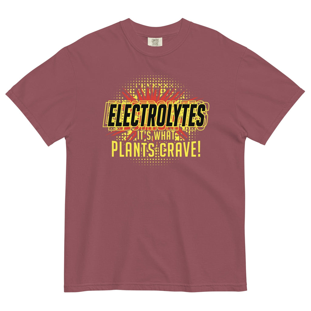 Electrolytes, It's What Plants Crave! Men's Relaxed Fit Tee Hoodie, Sweatshirt | CoreVibeTees.com (Image 2)