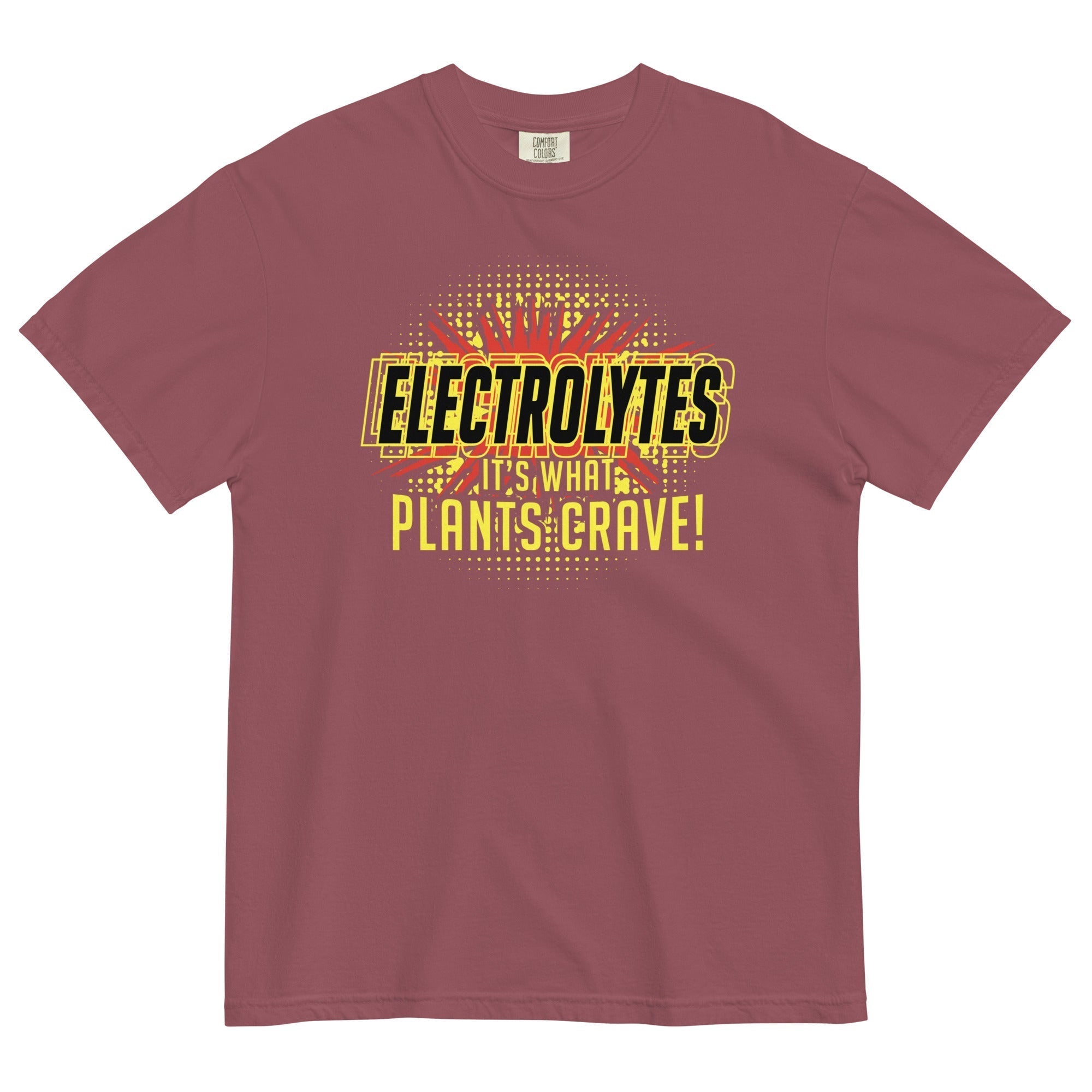 Electrolytes, It's What Plants Crave! Men's Relaxed Fit Tee Hoodie, Sweatshirt | CoreVibeTees.com (Image 2)