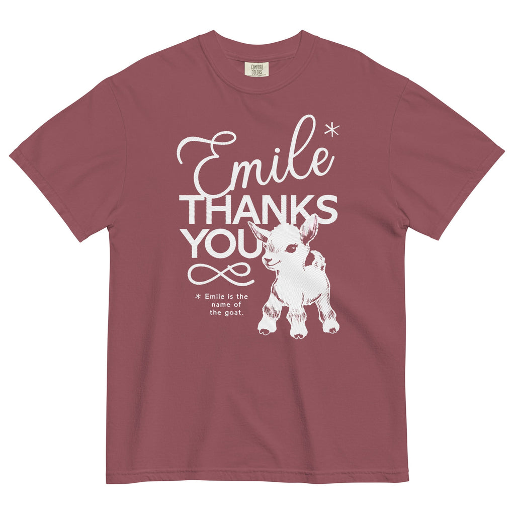 Emile Thanks You Men's Relaxed Fit Tee Hoodie, Sweatshirt | CoreVibeTees.com (Image 5)