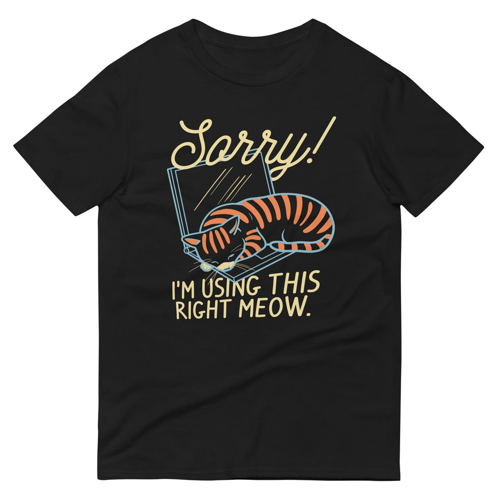 Sorry! I'm Using This Right Meow Men's Signature Tee Hoodie, Sweatshirt | CoreVibeTees.com (Image 2)