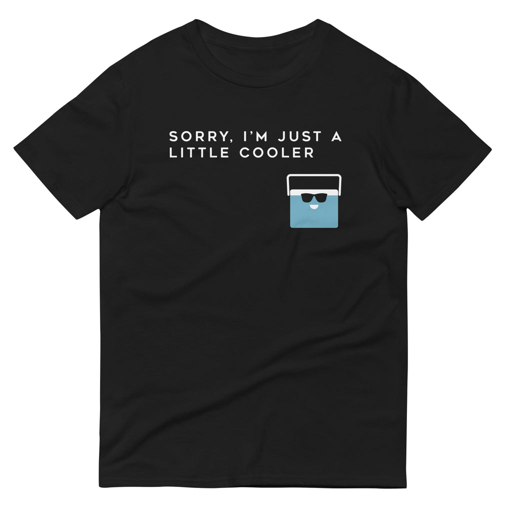 Sorry, I'm Just A Little Cooler Men's Signature Tee Hoodie, Sweatshirt | CoreVibeTees.com (Image 1)