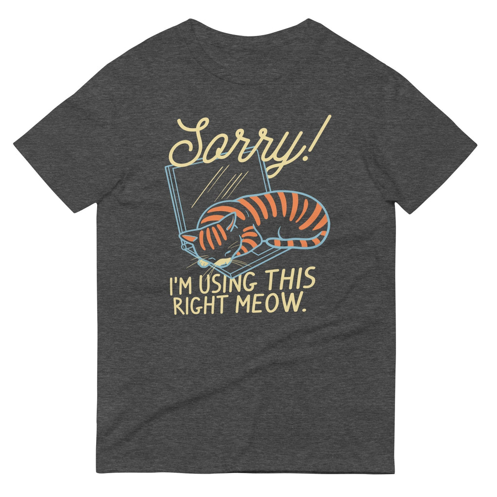 Sorry! I'm Using This Right Meow Men's Signature Tee Hoodie, Sweatshirt | CoreVibeTees.com (Image 3)