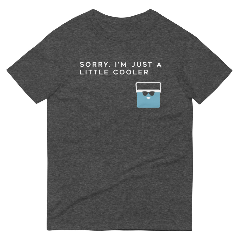 Sorry, I'm Just A Little Cooler Men's Signature Tee Hoodie, Sweatshirt | CoreVibeTees.com (Image 3)