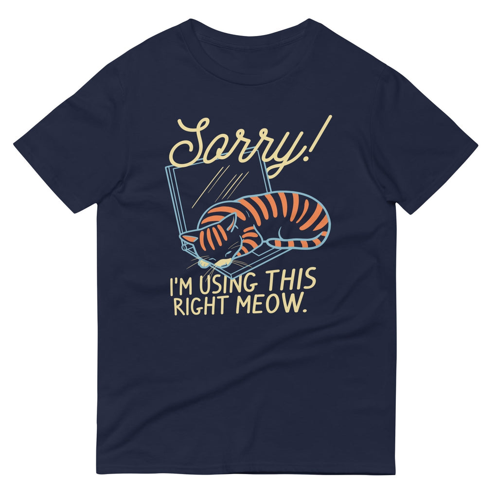 Sorry! I'm Using This Right Meow Men's Signature Tee Hoodie, Sweatshirt | CoreVibeTees.com (Image 1)
