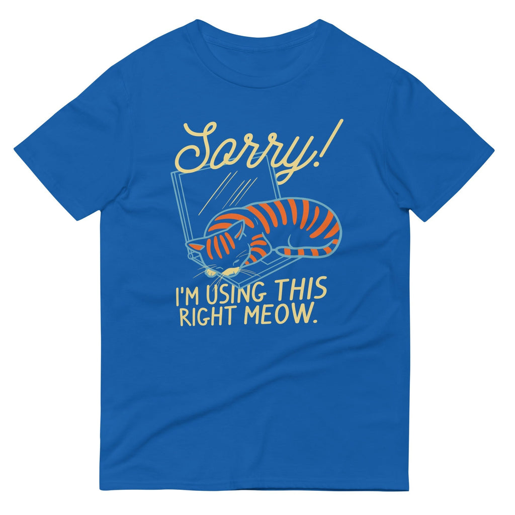 Sorry! I'm Using This Right Meow Men's Signature Tee Hoodie, Sweatshirt | CoreVibeTees.com (Image 4)