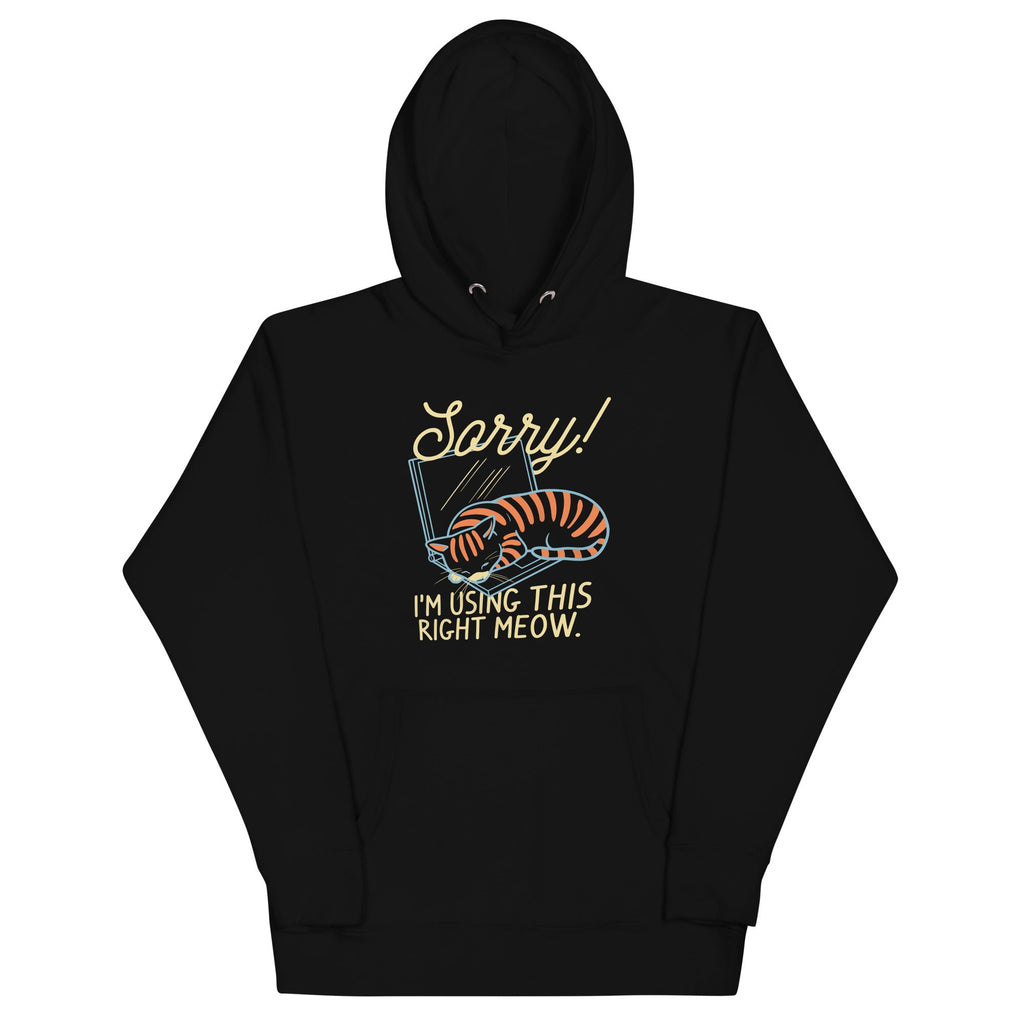 Sorry! I'm Using This Right Meow Unisex Hoodie T-Shirts, Sweatshirt | CoreVibeTees.com (Image 2)