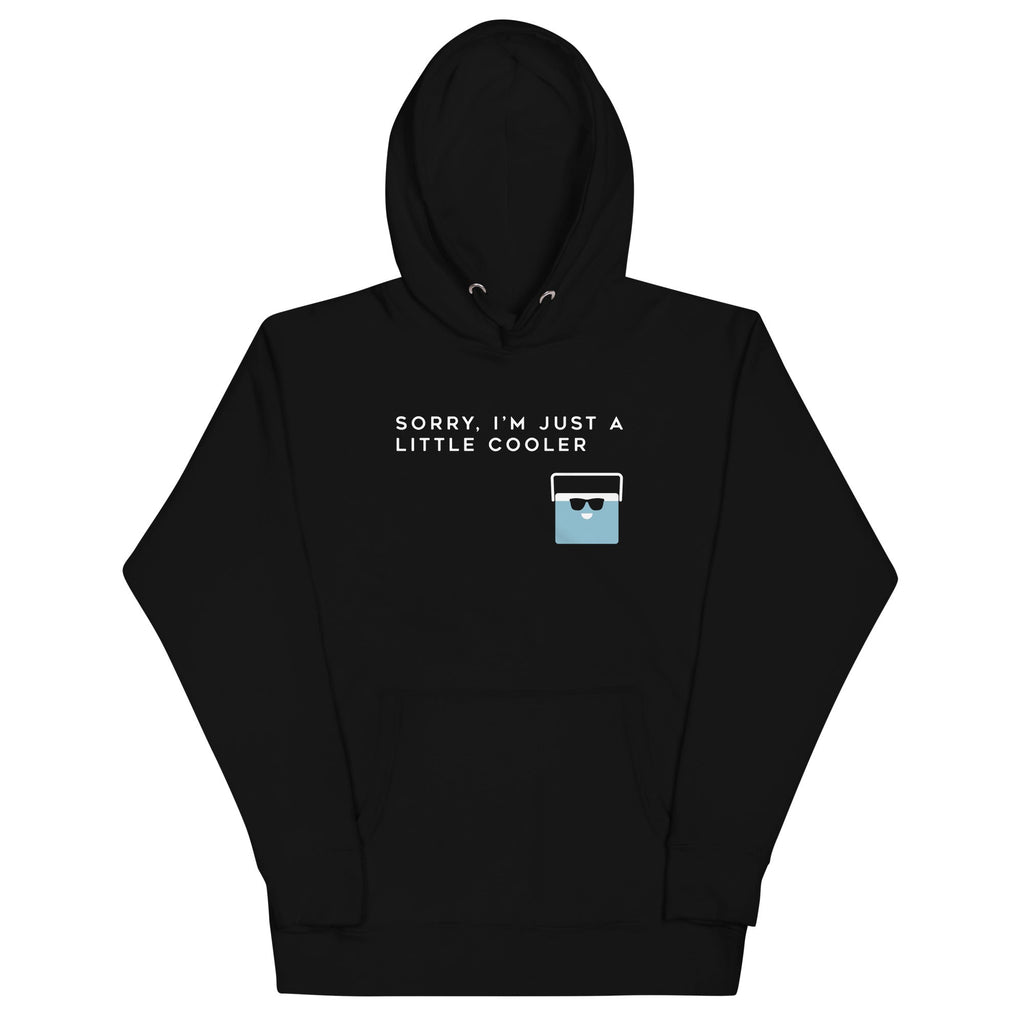Sorry, I'm Just A Little Cooler Unisex Hoodie T-Shirts, Sweatshirt | CoreVibeTees.com (Image 1)