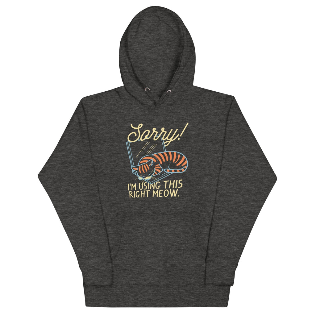Sorry! I'm Using This Right Meow Unisex Hoodie T-Shirts, Sweatshirt | CoreVibeTees.com (Image 3)
