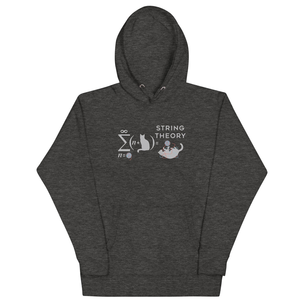 String Theory Unisex Hoodie T-Shirts, Sweatshirt | CoreVibeTees.com (Image 3)