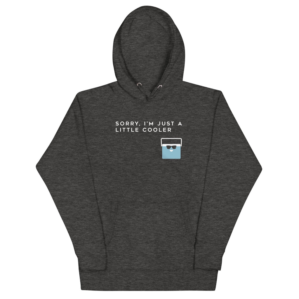 Sorry, I'm Just A Little Cooler Unisex Hoodie T-Shirts, Sweatshirt | CoreVibeTees.com (Image 3)