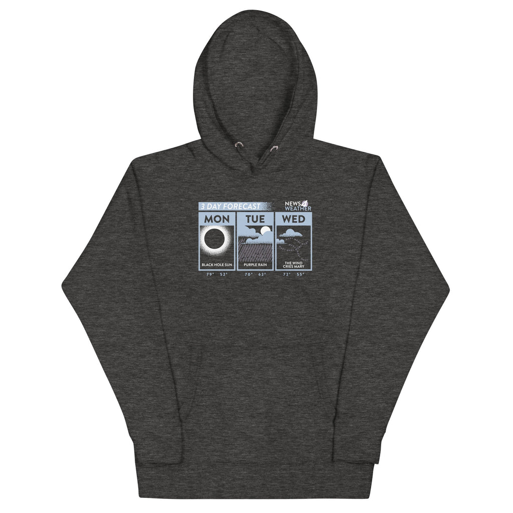 3 Day Forecast Unisex Hoodie T-Shirts, Sweatshirt | CoreVibeTees.com (Image 3)