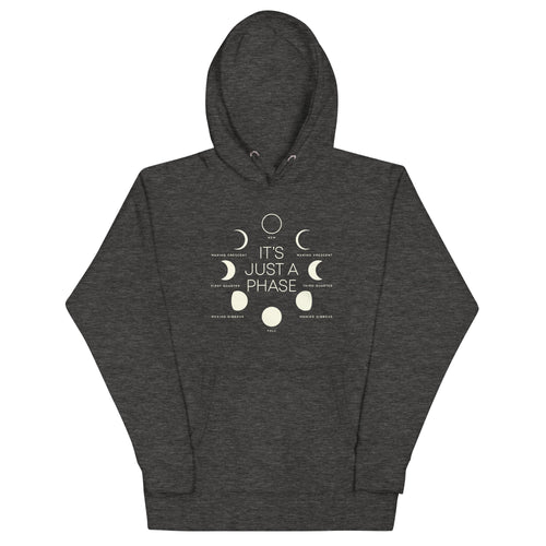 It's Just A Phase Unisex Hoodie T-Shirts, Sweatshirt | CoreVibeTees.com (Image 1)