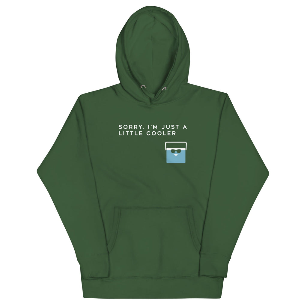 Sorry, I'm Just A Little Cooler Unisex Hoodie T-Shirts, Sweatshirt | CoreVibeTees.com (Image 4)