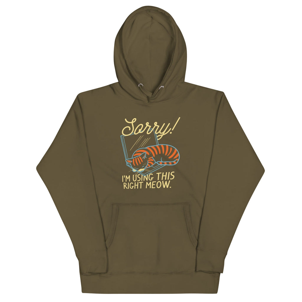 Sorry! I'm Using This Right Meow Unisex Hoodie T-Shirts, Sweatshirt | CoreVibeTees.com (Image 5)