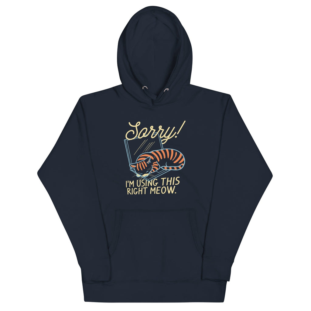 Sorry! I'm Using This Right Meow Unisex Hoodie T-Shirts, Sweatshirt | CoreVibeTees.com (Image 1)