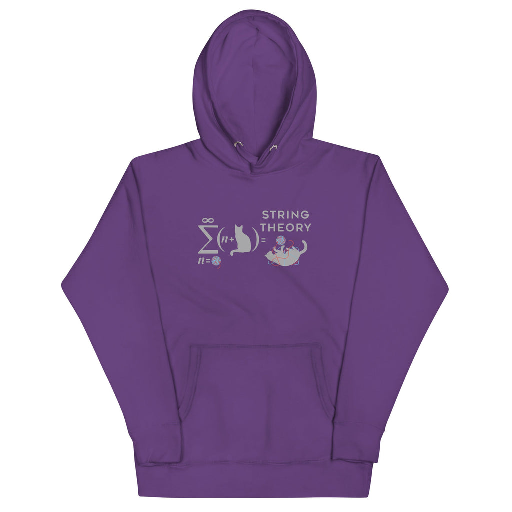 String Theory Unisex Hoodie T-Shirts, Sweatshirt | CoreVibeTees.com (Image 4)