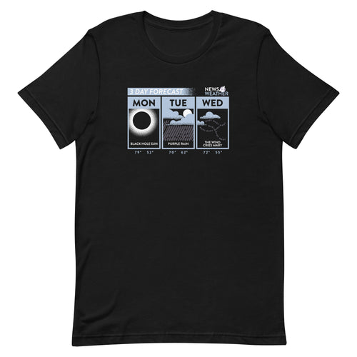 3 Day Forecast Men's Signature Tee Hoodie, Sweatshirt | CoreVibeTees.com (Image 1)