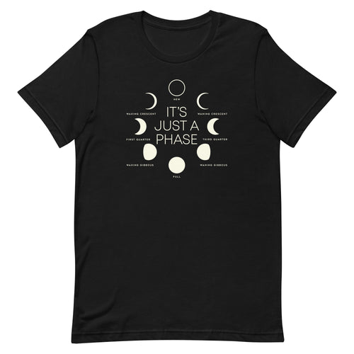 It's Just A Phase Men's Signature Tee Hoodie, Sweatshirt | CoreVibeTees.com (Image 1)