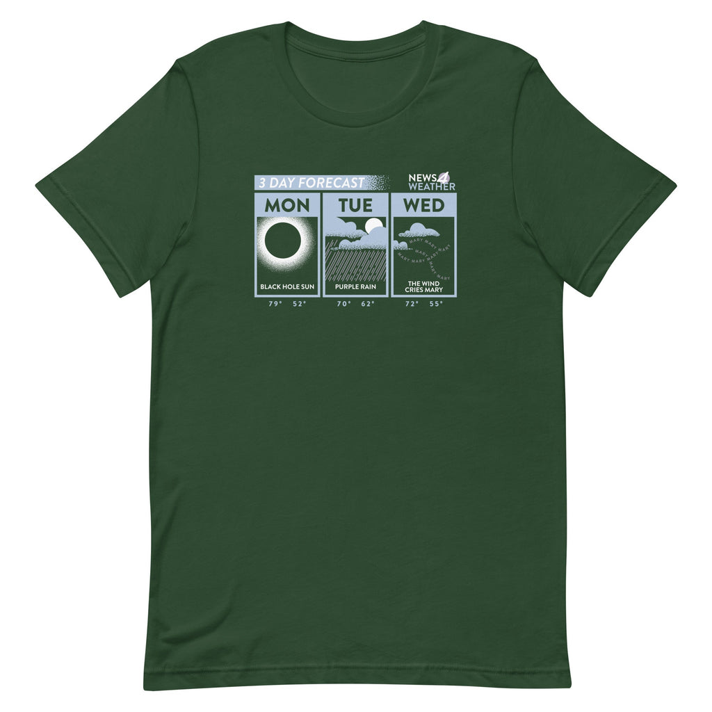3 Day Forecast Men's Signature Tee Hoodie, Sweatshirt | CoreVibeTees.com (Image 4)