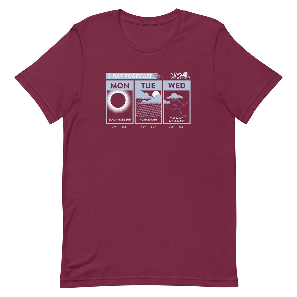 3 Day Forecast Men's Signature Tee Hoodie, Sweatshirt | CoreVibeTees.com (Image 3)