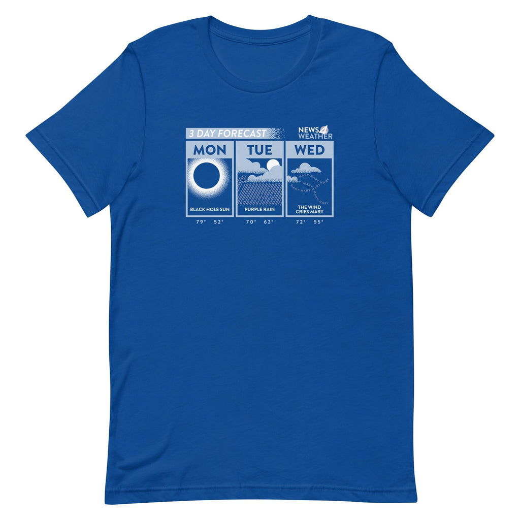 3 Day Forecast Men's Signature Tee Hoodie, Sweatshirt | CoreVibeTees.com (Image 5)