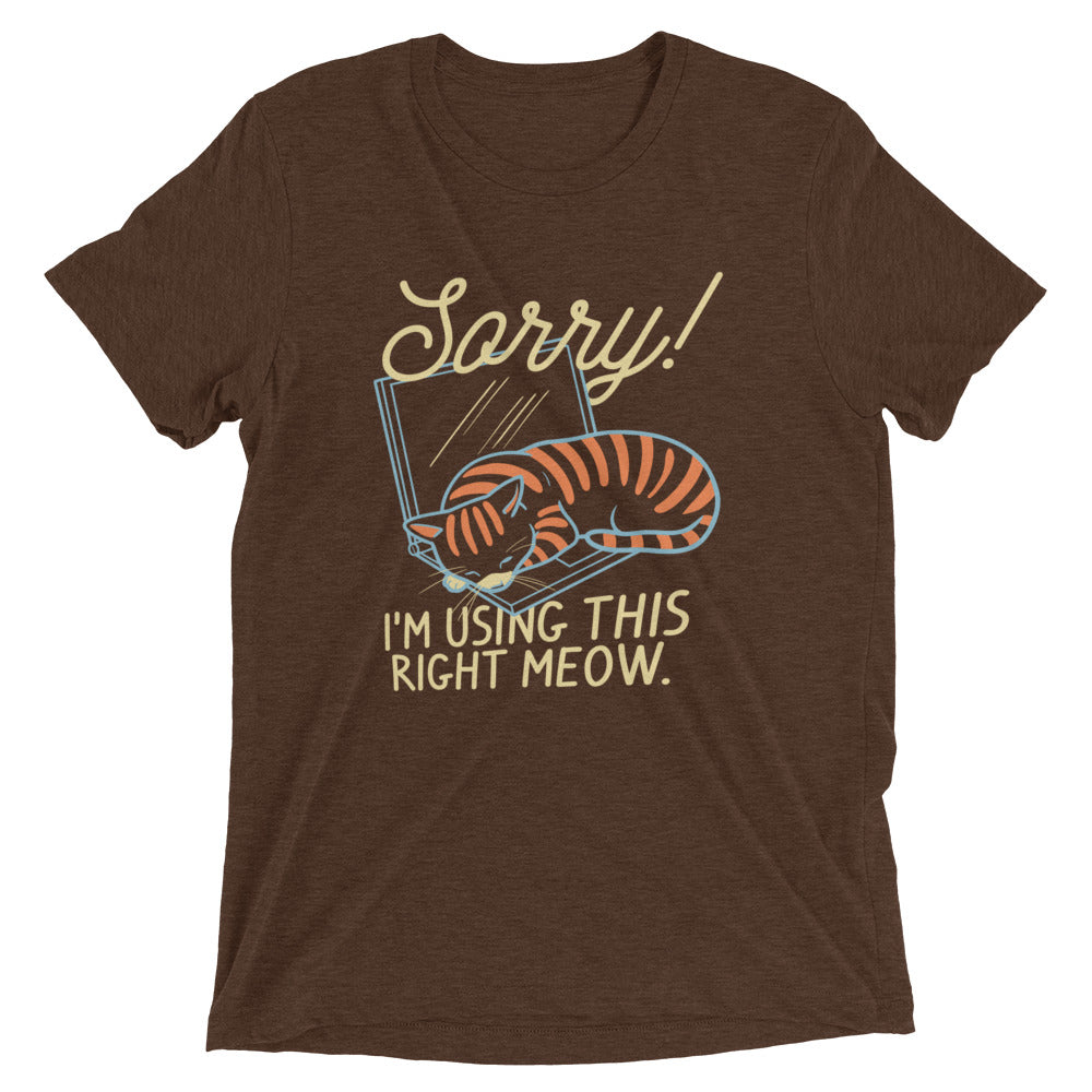 Sorry! I'm Using This Right Meow Men's Tri-Blend Tee Hoodie, Sweatshirt | CoreVibeTees.com (Image 4)