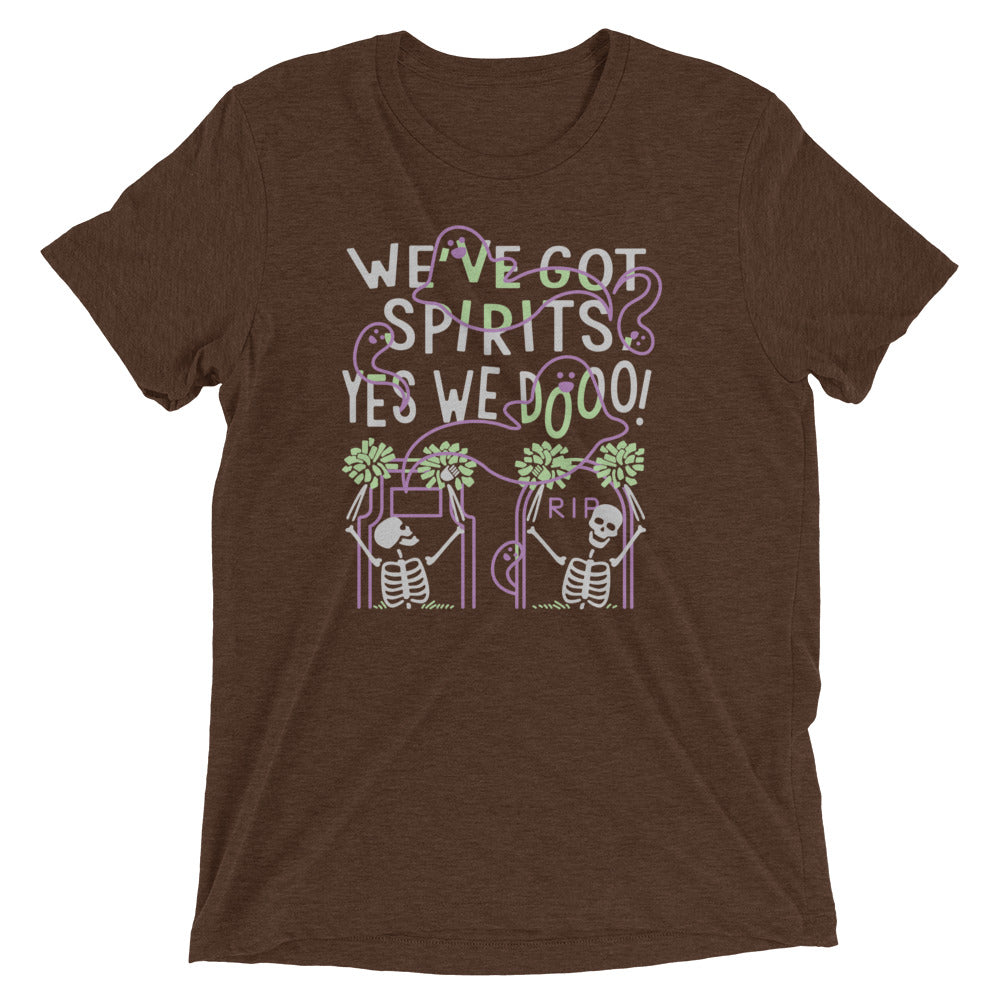 We've Got Spirits Men's Tri-Blend Tee Hoodie, Sweatshirt | CoreVibeTees.com (Image 4)