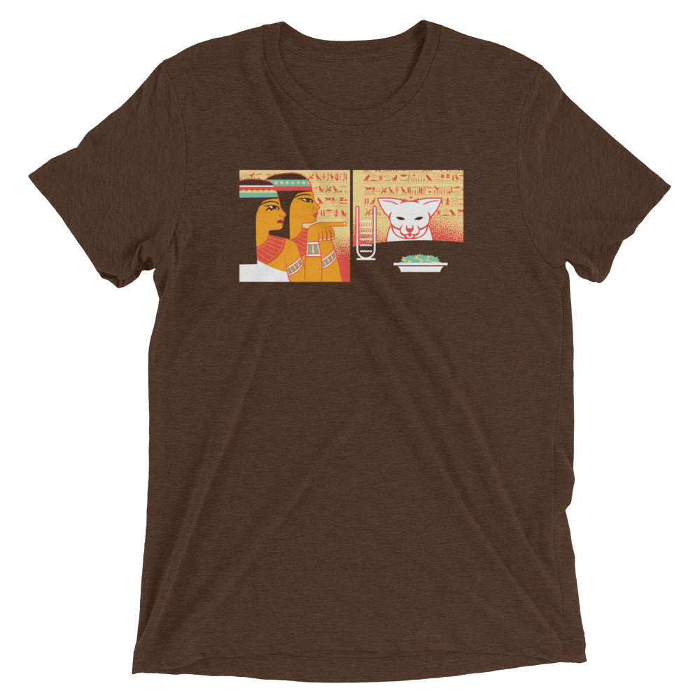 Egyptian Cat Men's Tri-Blend Tee Hoodie, Sweatshirt | CoreVibeTees.com (Image 3)
