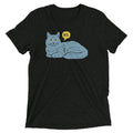 No Cat Men's Tri-Blend Tee Hoodie, Sweatshirt | CoreVibeTees.com (Image 1)