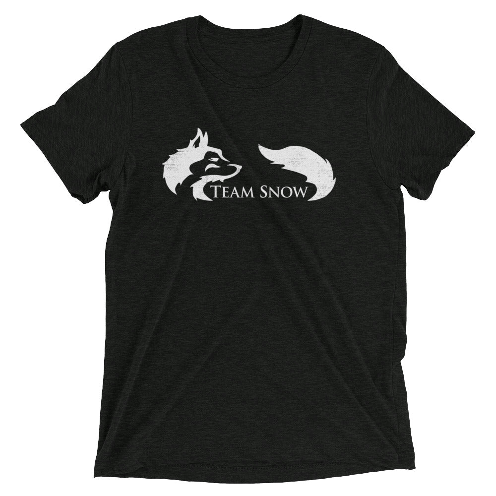 Team Snow Men's Tri-Blend Tee Hoodie, Sweatshirt | CoreVibeTees.com (Image 1)