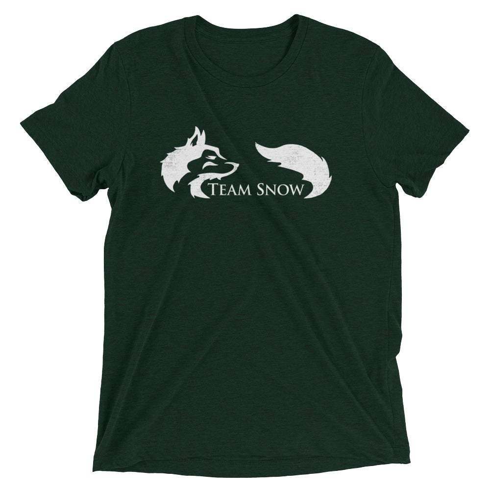 Team Snow Men's Tri-Blend Tee Hoodie, Sweatshirt | CoreVibeTees.com (Image 2)