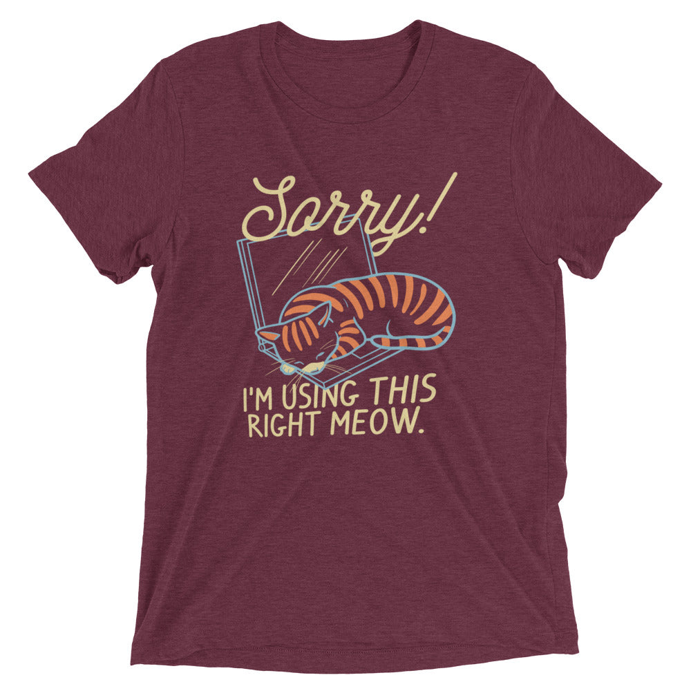 Sorry! I'm Using This Right Meow Men's Tri-Blend Tee Hoodie, Sweatshirt | CoreVibeTees.com (Image 3)