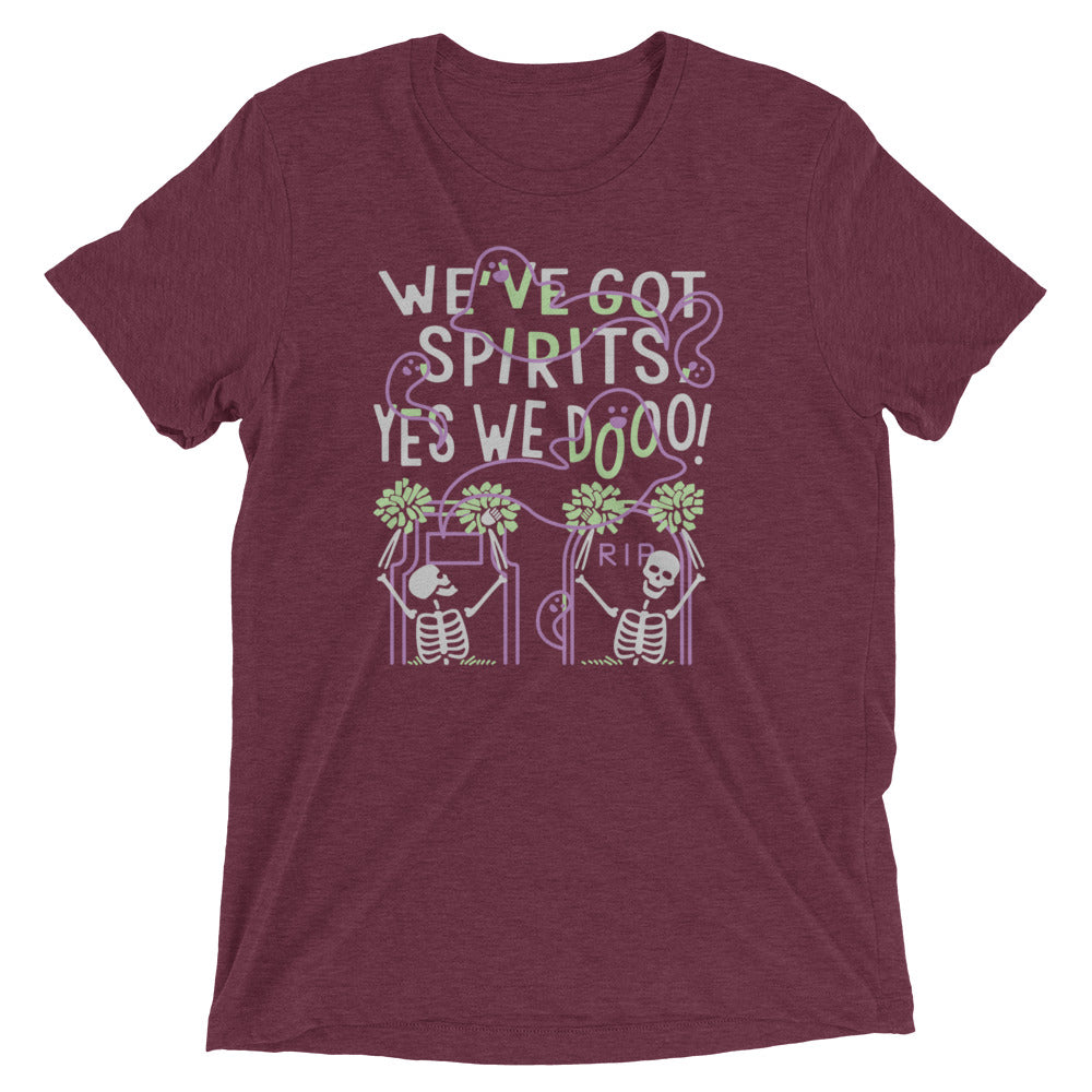 We've Got Spirits Men's Tri-Blend Tee Hoodie, Sweatshirt | CoreVibeTees.com (Image 3)