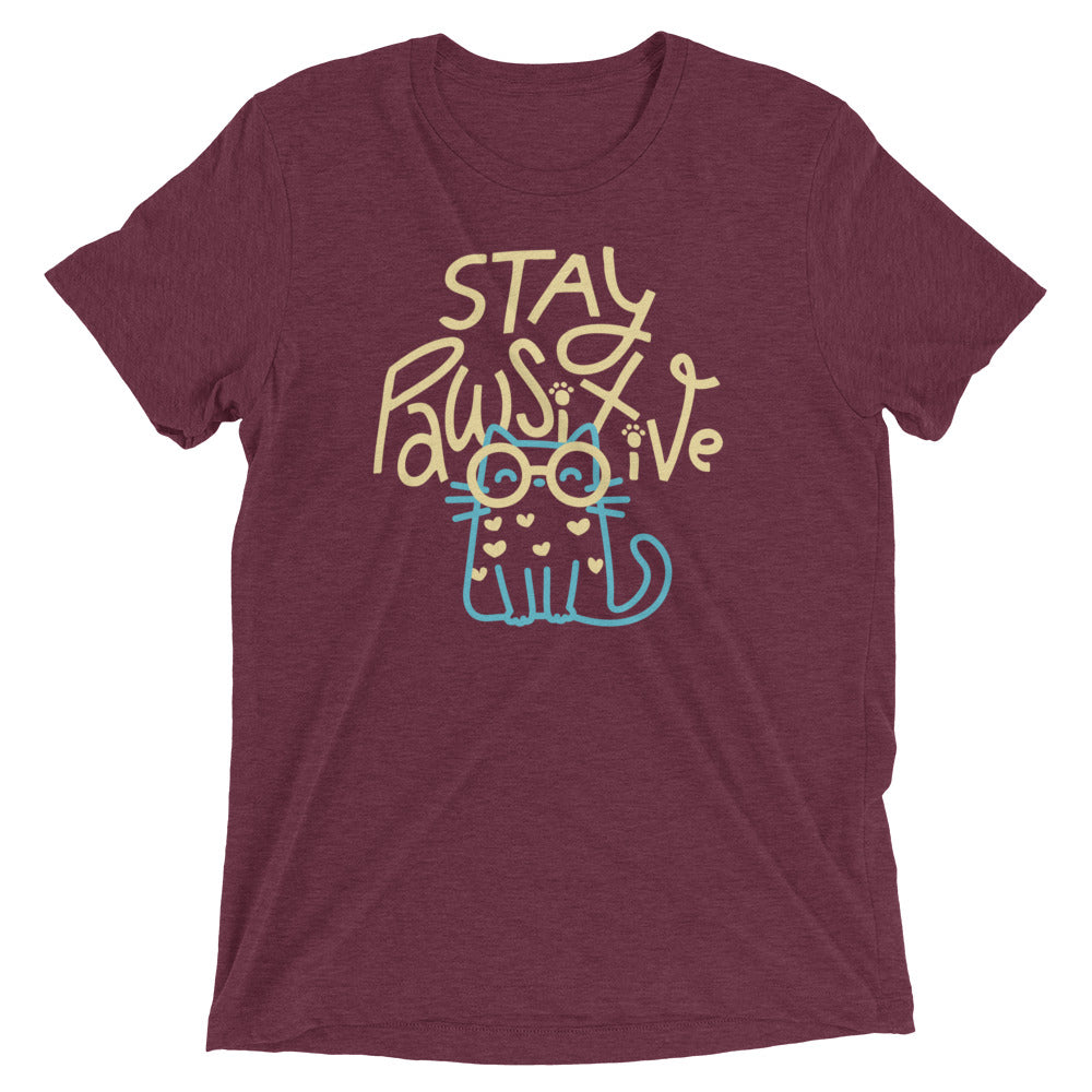 Stay Pawsitive Men's Tri-Blend Tee Hoodie, Sweatshirt | CoreVibeTees.com (Image 3)