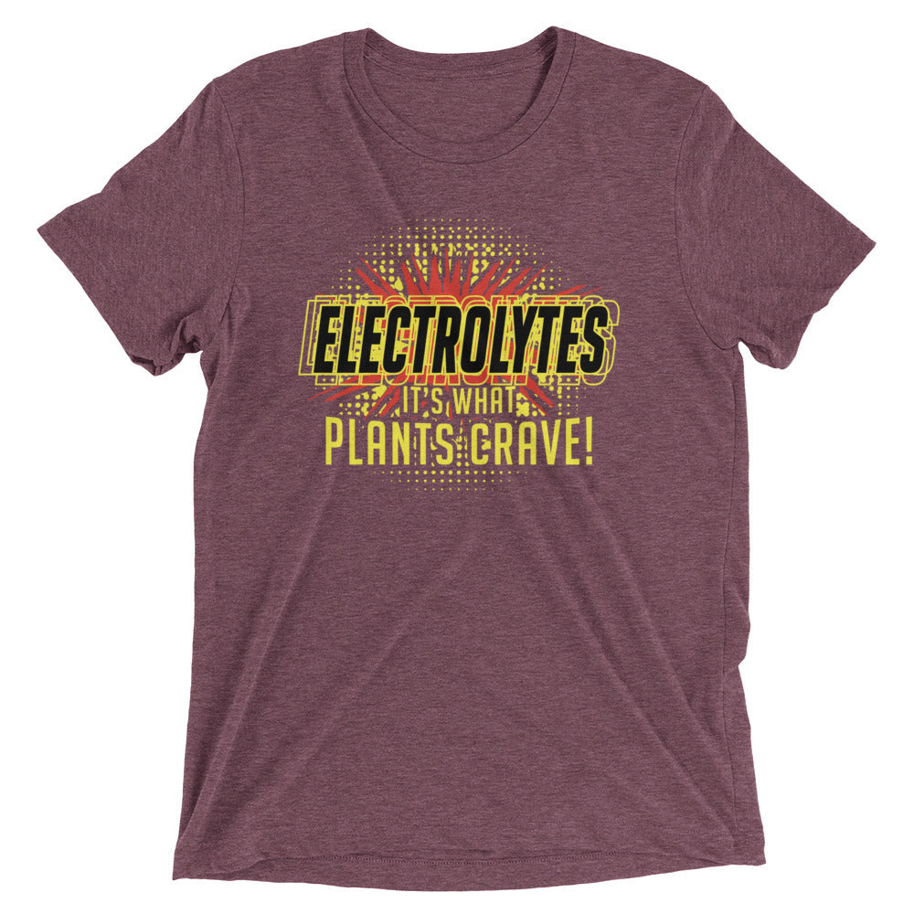 Electrolytes, It's What Plants Crave! Men's Tri-Blend Tee Hoodie, Sweatshirt | CoreVibeTees.com (Image 4)