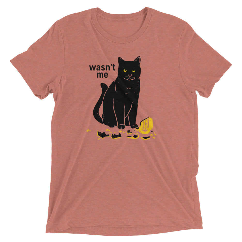 Wasn't Me Men's Tri-Blend Tee Hoodie, Sweatshirt | CoreVibeTees.com (Image 4)