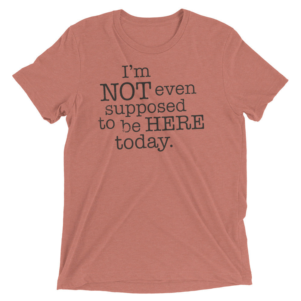 I'm Not Even Supposed To Be Here Today Men's Tri-Blend Tee Hoodie, Sweatshirt | CoreVibeTees.com (Image 3)