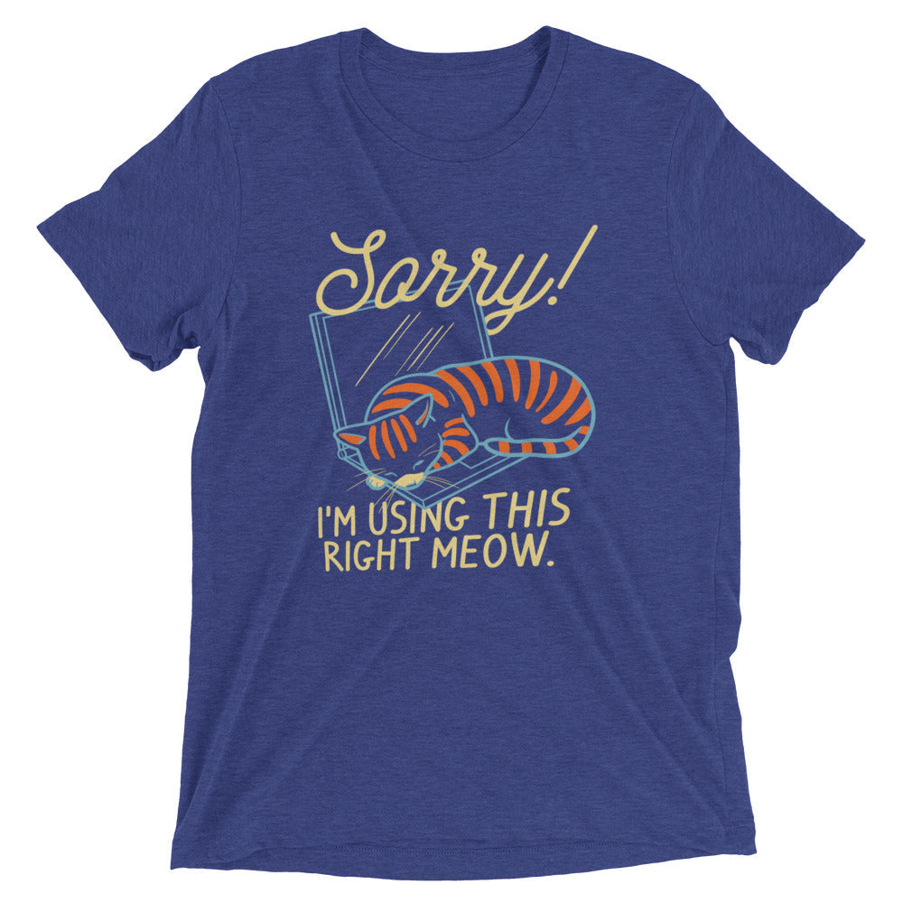 Sorry! I'm Using This Right Meow Men's Tri-Blend Tee Hoodie, Sweatshirt | CoreVibeTees.com (Image 1)