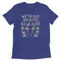 We've Got Spirits Men's Tri-Blend Tee Hoodie, Sweatshirt | CoreVibeTees.com (Image 1)