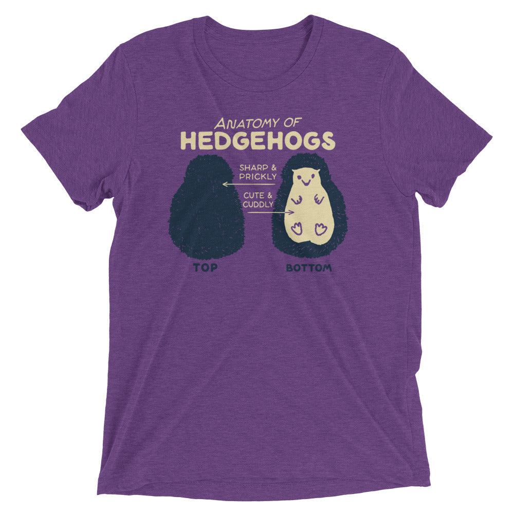 Anatomy Of Hedgehogs Men's Tri-Blend Tee Hoodie, Sweatshirt | CoreVibeTees.com (Image 2)