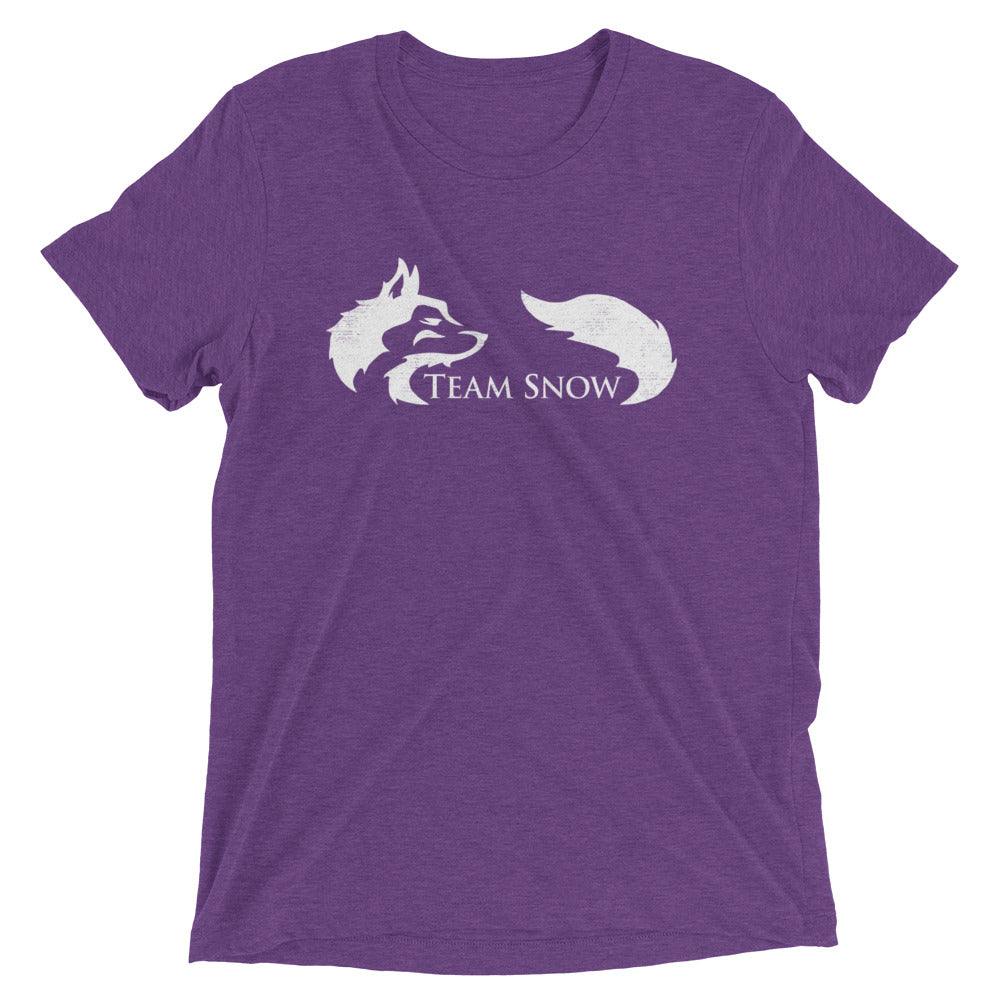 Team Snow Men's Tri-Blend Tee Hoodie, Sweatshirt | CoreVibeTees.com (Image 4)