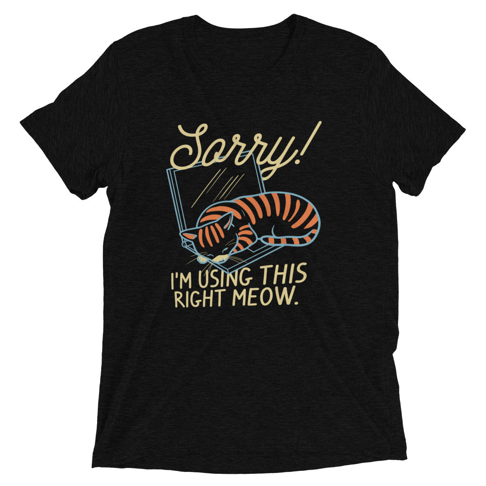 Sorry! I'm Using This Right Meow Men's Tri-Blend Tee Hoodie, Sweatshirt | CoreVibeTees.com (Image 2)