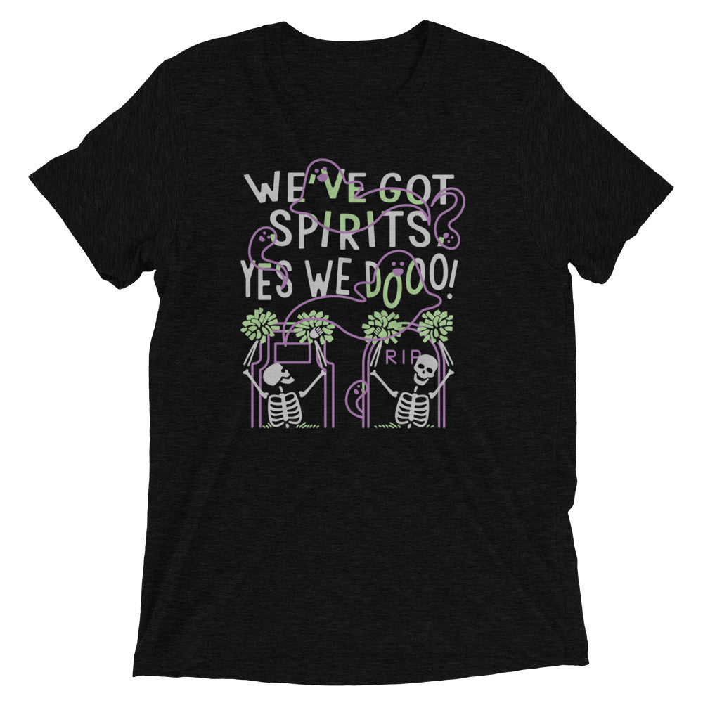 We've Got Spirits Men's Tri-Blend Tee Hoodie, Sweatshirt | CoreVibeTees.com (Image 2)