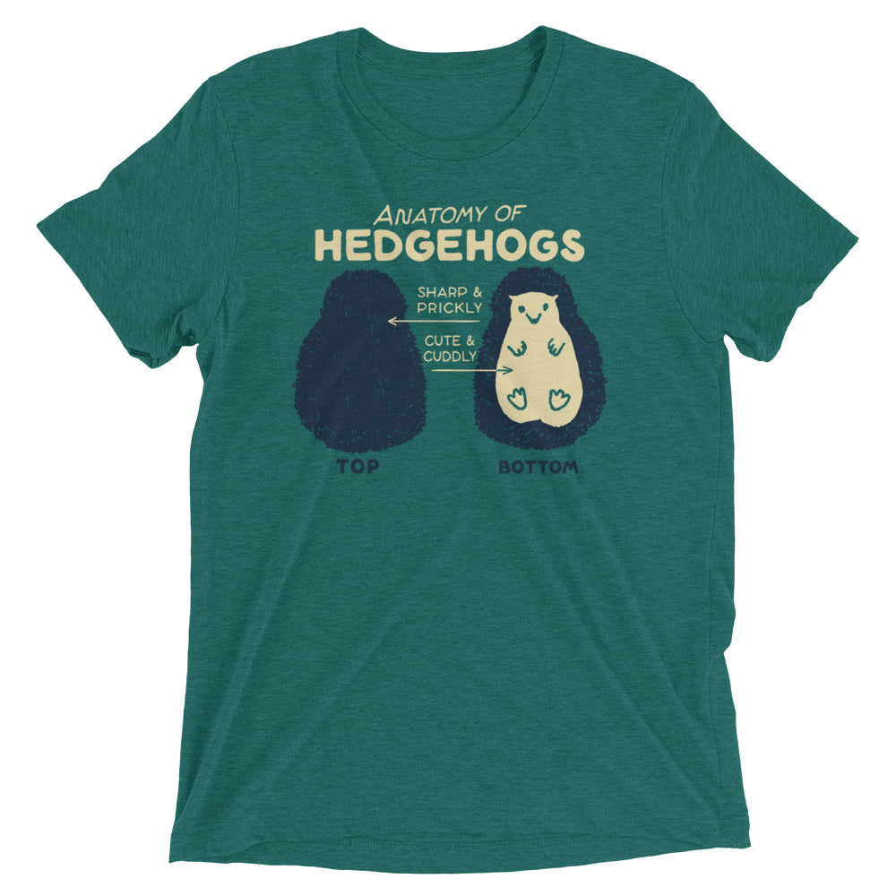Anatomy Of Hedgehogs Men's Tri-Blend Tee Hoodie, Sweatshirt | CoreVibeTees.com (Image 3)