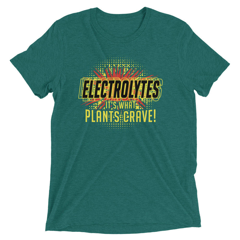 Electrolytes, It's What Plants Crave! Men's Tri-Blend Tee Hoodie, Sweatshirt | CoreVibeTees.com (Image 1)
