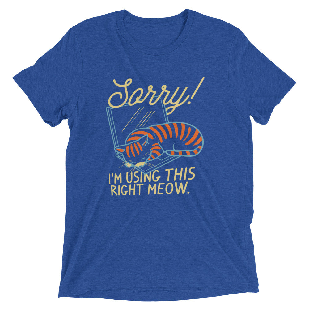 Sorry! I'm Using This Right Meow Men's Tri-Blend Tee Hoodie, Sweatshirt | CoreVibeTees.com (Image 5)