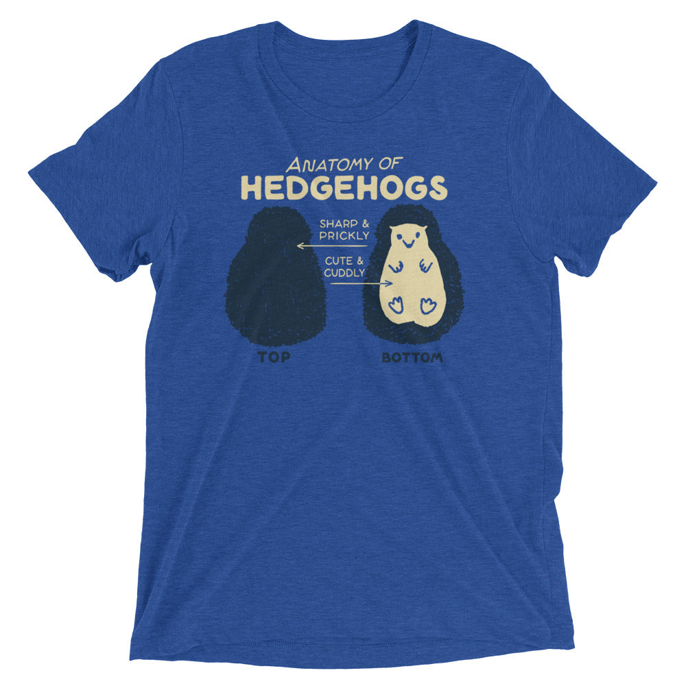 Anatomy Of Hedgehogs Men's Tri-Blend Tee Hoodie, Sweatshirt | CoreVibeTees.com (Image 1)