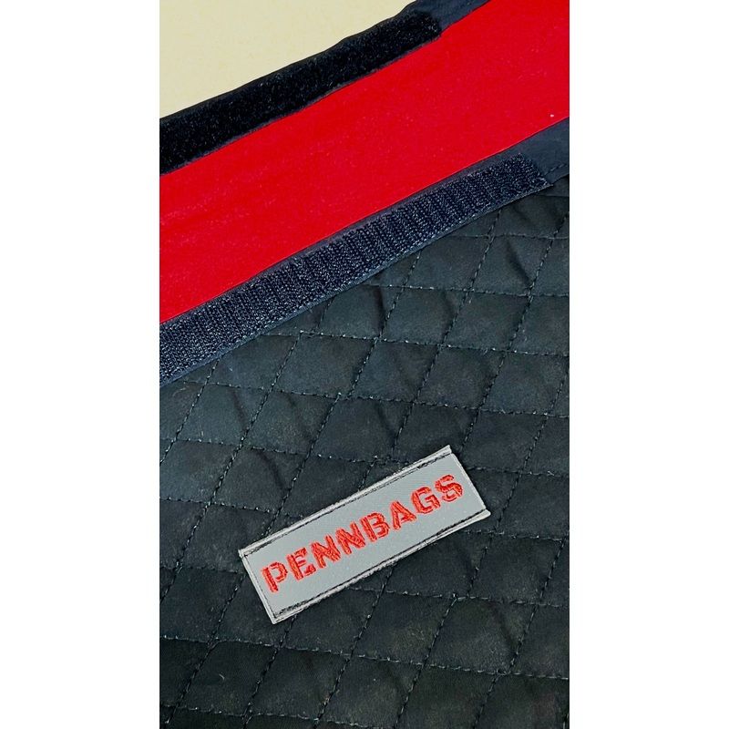 PennBag Wing Bags for Boomerang Turbinator 2
